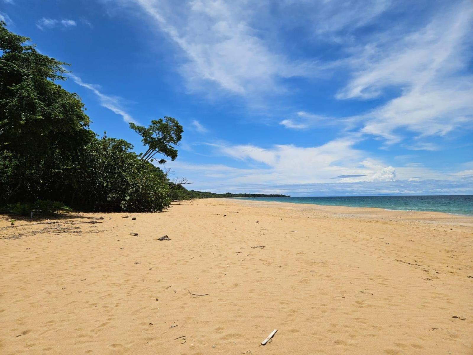 S Boutique Hotel โบกัสทาวน์ ภายนอก รูปภาพ